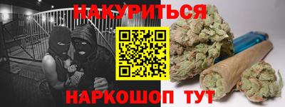 сатива Будённовск