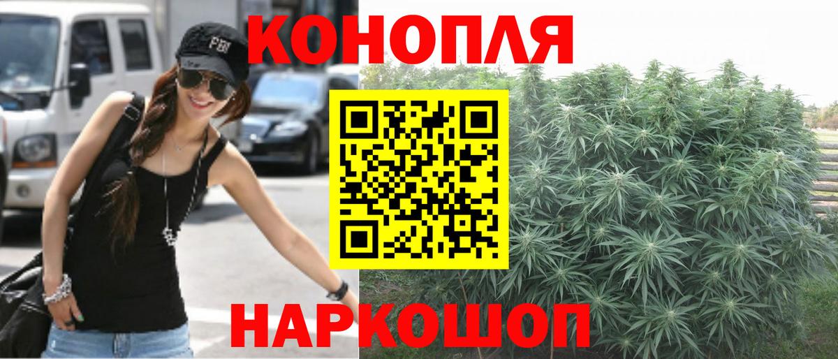 Шишки марихуана OG Kush Соль-Илецк